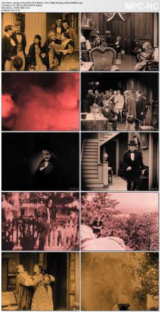 The Birth Of A Nation 1915 1080p BluRay x265-RARBG