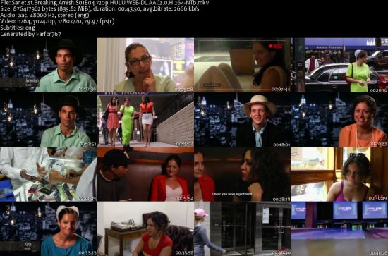 Breaking Amish S01 720p HULU WEBRip AAC2 x264-NTb