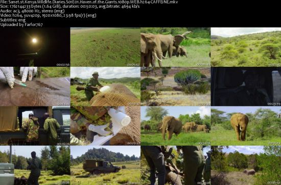 Kenya Wildlife Diaries S01 1080p WEBRip DD2.0 x264-CAFFEiNE