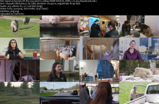 Secrets Of The Zoo S02 1080p DSNP WEBRip DDP5.1 x264-pawel2006