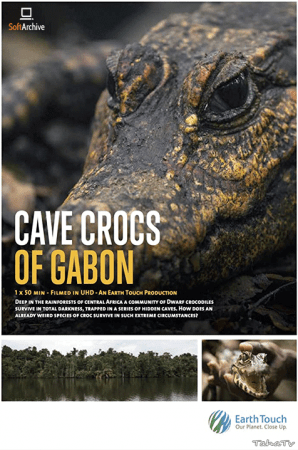 Cave Crocs Of Gabon 2018 720p WEBRip x264 AAC-YTS