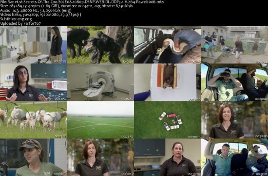 Secrets Of The Zoo S02 1080p DSNP WEBRip DDP5.1 x264-pawel2006