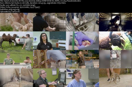 Secrets Of The Zoo S02 1080p DSNP WEBRip DDP5.1 x264-pawel2006
