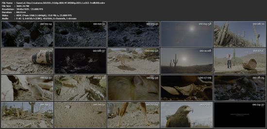 Tiny Creatures S01 2160p NF WEBRip x265 10bit HDR DDP5.1-TrollUHD