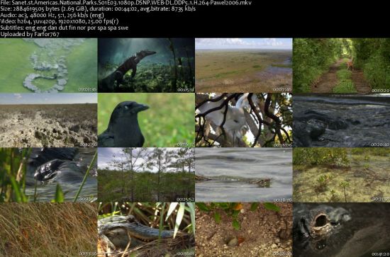 Americas National Parks S01 1080p DSNP WEBRip DDP5.1 x264-pawel2006