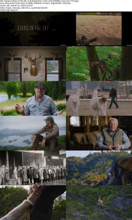 Stars In The Sky A Hunting Story 2018 720p WEBRip x264 AAC-YTS