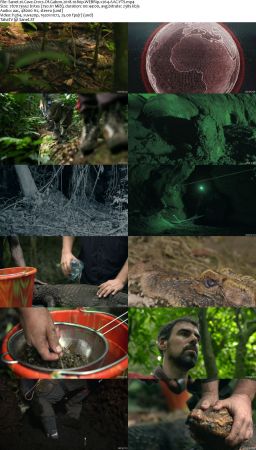 Cave Crocs Of Gabon 2018 1080p WEBRip x264 AAC-YTS