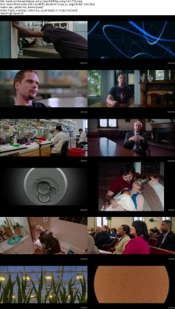 Human Nature 2019 720p WEBRip x264 AAC-YTS