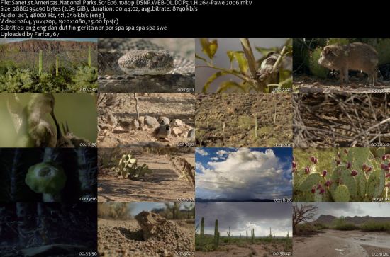 Americas National Parks S01 1080p DSNP WEBRip DDP5.1 x264-pawel2006