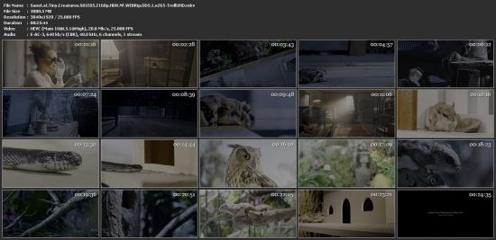 Tiny Creatures S01 2160p NF WEBRip x265 10bit HDR DDP5.1-TrollUHD