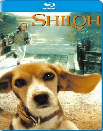 1996 Shiloh
