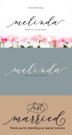 Melinda   Modern Calligraphy Font