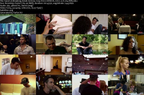 Breaking Amish S01 720p HULU WEBRip AAC2 x264-NTb