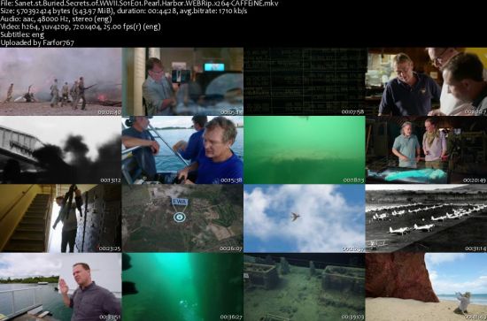 Buried Secrets of WWII S01 WEBRip AAC2.0 x264-CAFFEiNE