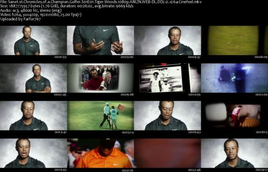 Chronicles of a Champion Golfer S01 1080p AMZN WEBRip DDP2.0 x264-Cinefeel