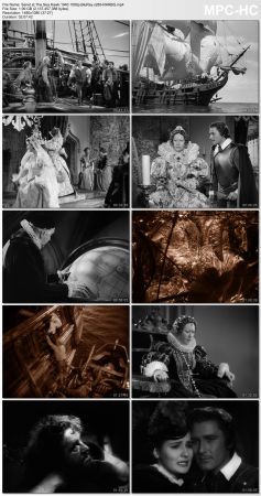 The Sea Hawk 1940 1080p BluRay x265-RARBG