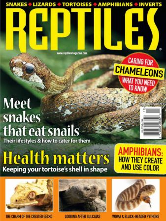 Reptiles   September/October 2020