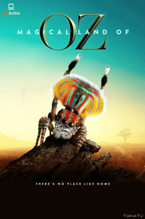 Magical Land Of Oz S01 720p NF WEBRip x264-GalaxyTV