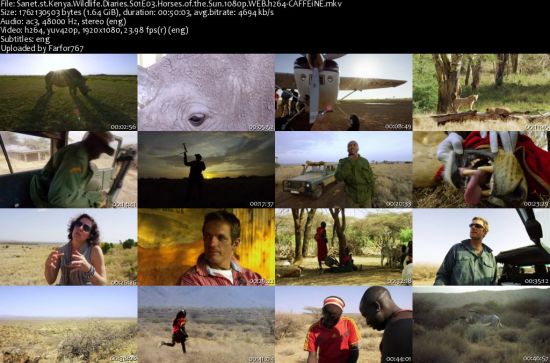 Kenya Wildlife Diaries S01 1080p WEBRip DD2.0 x264-CAFFEiNE