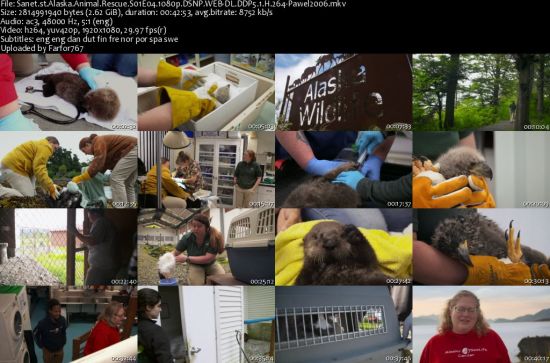 Alaska Animal Rescue S01 1080p DSNP WEBRip DDP5.1 x264-pawel2006
