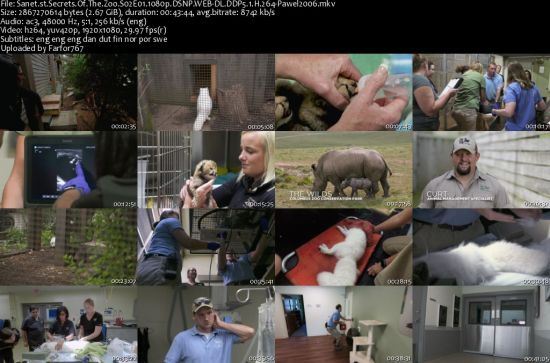 Secrets Of The Zoo S02 1080p DSNP WEBRip DDP5.1 x264-pawel2006