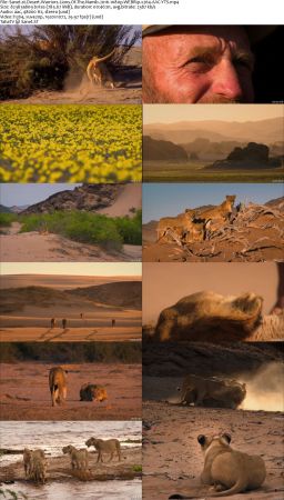 Desert Warriors Lions Of The Namib 2016 1080p WEBRip x264 AAC-YTS