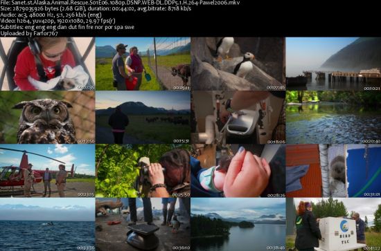 Alaska Animal Rescue S01 1080p DSNP WEBRip DDP5.1 x264-pawel2006