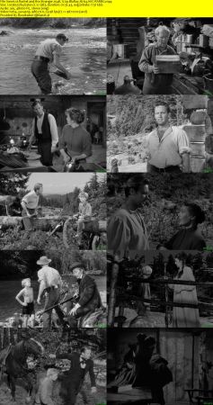 Rachel and the Stranger 1948 720p BluRay H264 AAC-RARBG