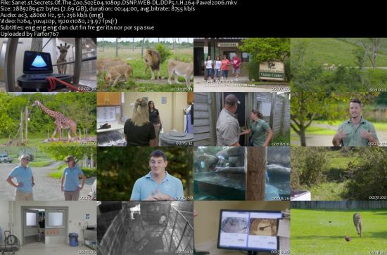 Secrets Of The Zoo S02 1080p DSNP WEBRip DDP5.1 x264-pawel2006