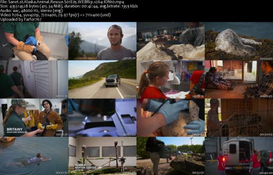 Alaska Animal Rescue S01 WEBRip x264-ION10
