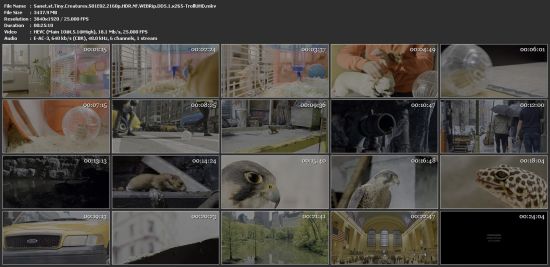 Tiny Creatures S01 2160p NF WEBRip x265 10bit HDR DDP5.1-TrollUHD