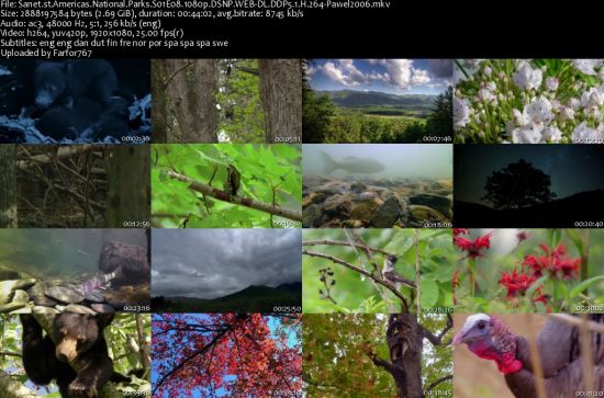 Americas National Parks S01 1080p DSNP WEBRip DDP5.1 x264-pawel2006