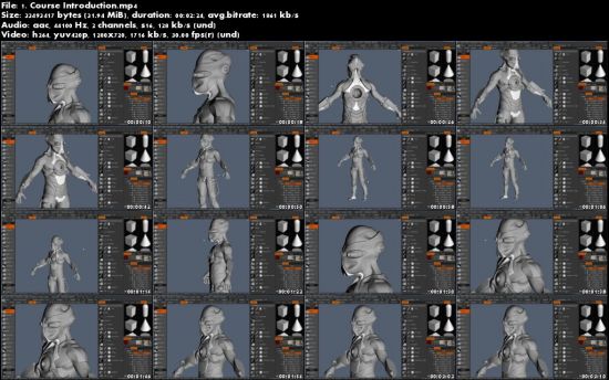 Hard Surface Modeling and Sculpting Course in 3D Coat 