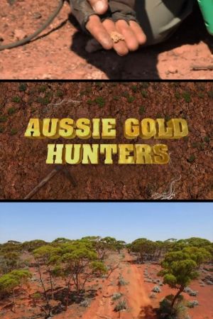 Aussie Gold Hunters S05E09 720p WEB H264-DENTiST