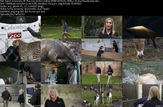 Secrets Of The Zoo S01 1080p DSNP WEBRip DDP5.1 x264-pawel2006