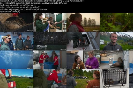 Alaska Animal Rescue S01 1080p DSNP WEBRip DDP5.1 x264-pawel2006