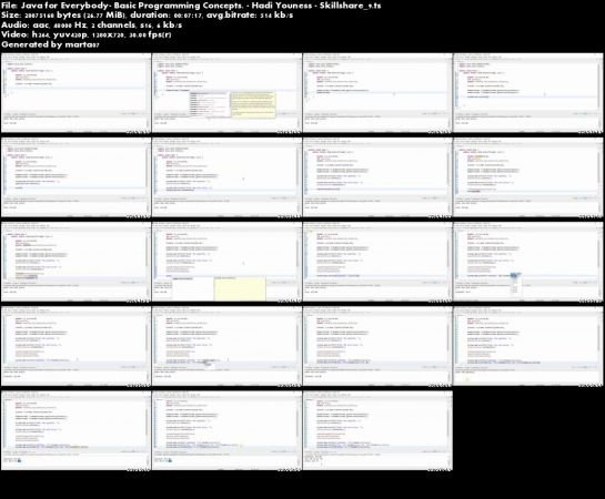 Java for Everybody: Basic Programming Concepts