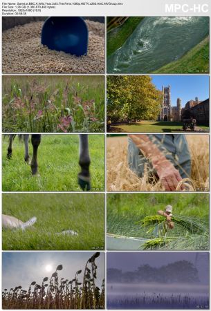BBC - A Wild Year (2020) 1080p HDTV x265 AAC MVGroup