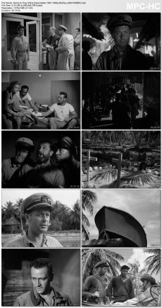 They Were Expendable 1945 1080p BluRay x265-RARBG