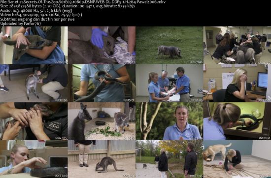 Secrets Of The Zoo S01 1080p DSNP WEBRip DDP5.1 x264-pawel2006