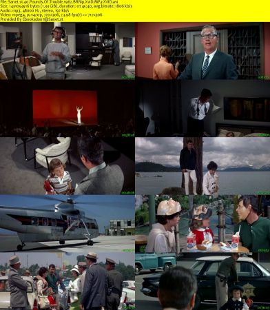40 Pounds Of Trouble 1962 BRRip XviD MP3-XVID