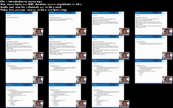 Debugging SAP ABAP Code For Non Programmers 