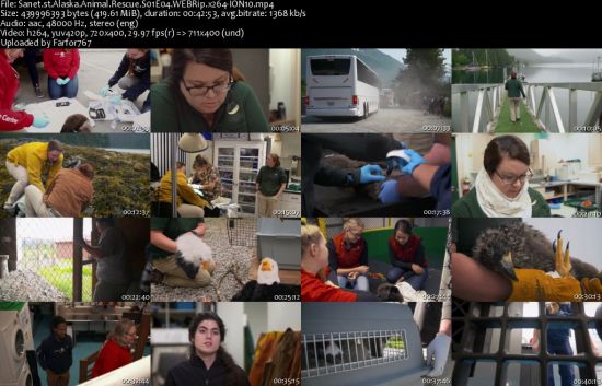 Alaska Animal Rescue S01 WEBRip x264-ION10