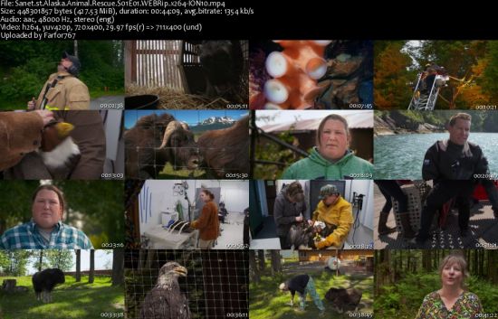 Alaska Animal Rescue S01 WEBRip x264-ION10