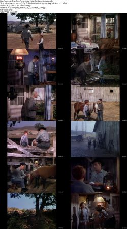 The Red Pony 1949 720p BluRay x264-x0r
