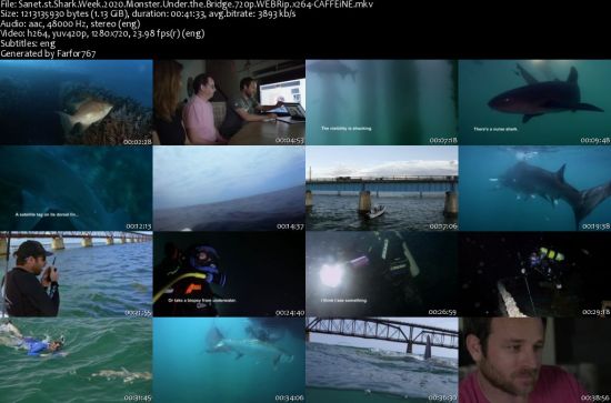 Shark Week 2020 Monster Under the Bridge 720p WEBRip x264-CAFFEiNE
