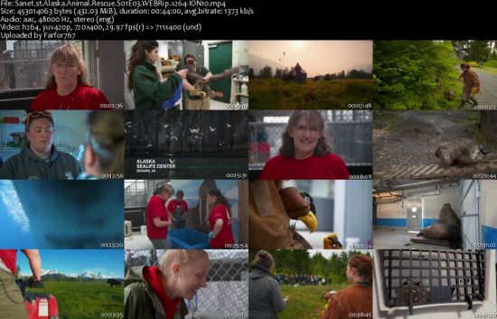 Alaska Animal Rescue S01 WEBRip x264-ION10