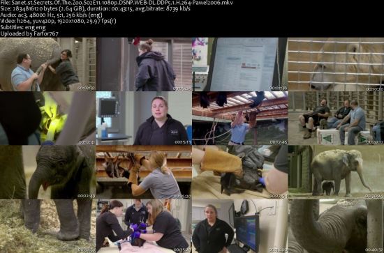 Secrets Of The Zoo S02 1080p DSNP WEBRip DDP5.1 x264-pawel2006