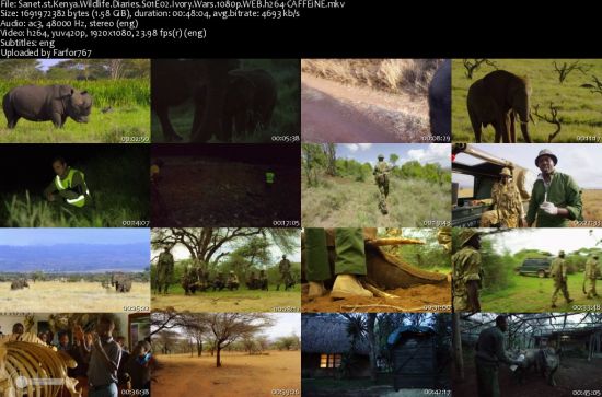 Kenya Wildlife Diaries S01 1080p WEBRip DD2.0 x264-CAFFEiNE