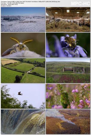 BBC - A Wild Year (2020) 1080p HDTV x265 AAC MVGroup